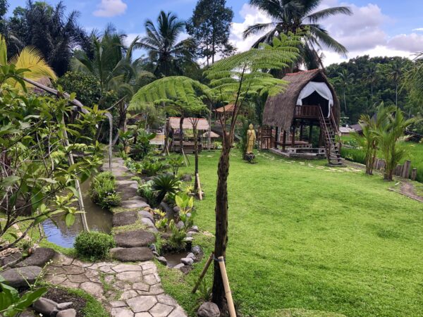 Room Types and Reservation